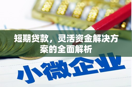 措勤短期贷款，灵活资金解决方案的全面解析