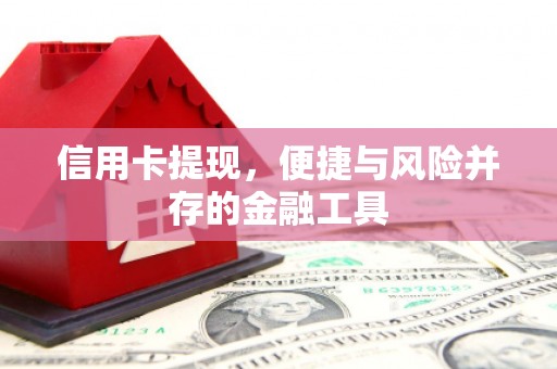措勤信用卡提现，便捷与风险并存的金融工具