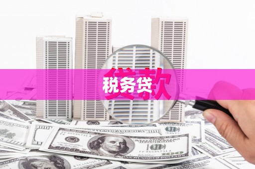 措勤税务贷