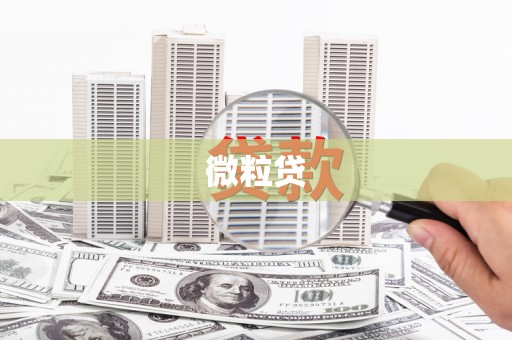 措勤微粒贷
