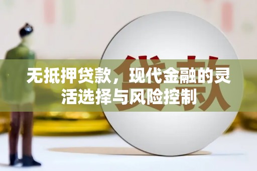 措勤无抵押贷款，现代金融的灵活选择与风险控制