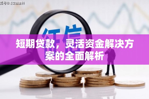 措勤短期贷款，灵活资金解决方案的全面解析