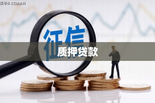 措勤质押贷款