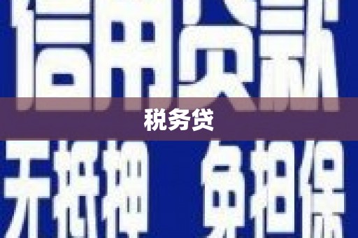 措勤税务贷