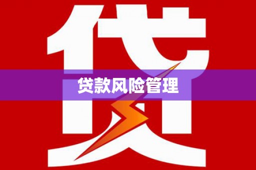 措勤贷款风险管理