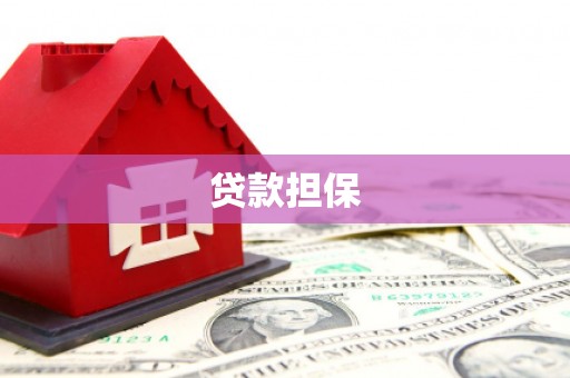 措勤贷款担保