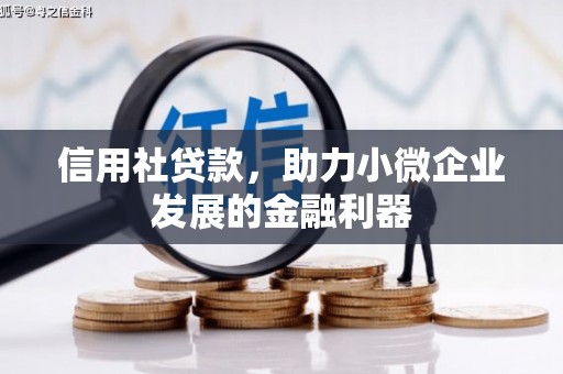 措勤信用社贷款，助力小微企业发展的金融利器