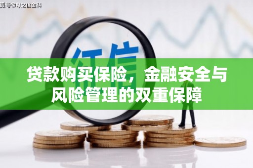 措勤贷款购买保险，金融安全与风险管理的双重保障