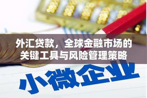措勤外汇贷款，全球金融市场的关键工具与风险管理策略