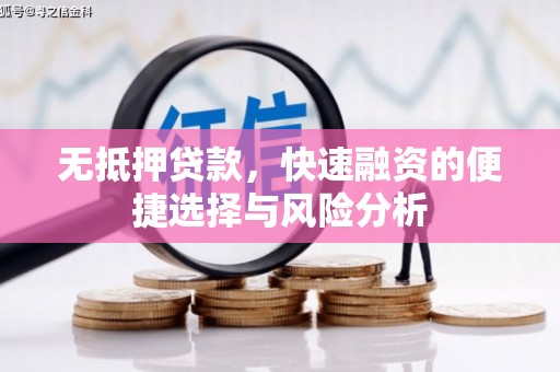 措勤无抵押贷款，快速融资的便捷选择与风险分析