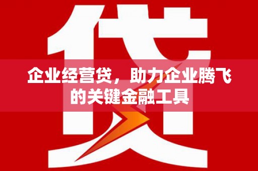 措勤企业经营贷，助力企业腾飞的关键金融工具