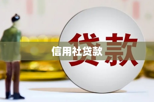 措勤信用社贷款