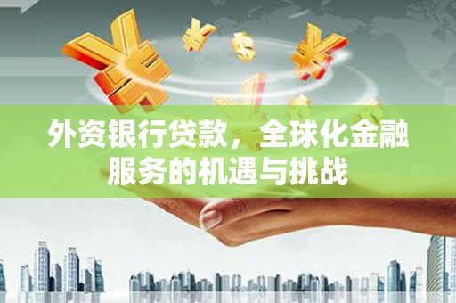 措勤外资银行贷款，全球化金融服务的机遇与挑战