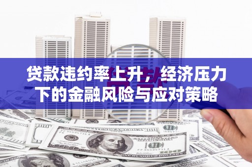 措勤贷款违约率上升，经济压力下的金融风险与应对策略