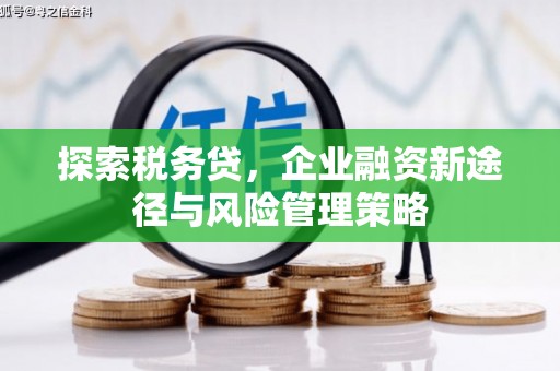 措勤探索税务贷，企业融资新途径与风险管理策略