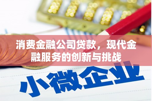措勤消费金融公司贷款，现代金融服务的创新与挑战
