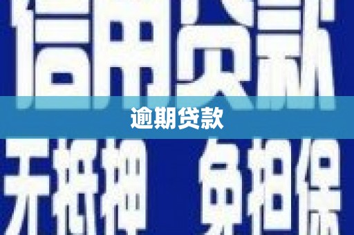 措勤逾期贷款