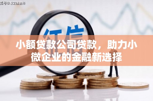 措勤小额贷款公司贷款，助力小微企业的金融新选择