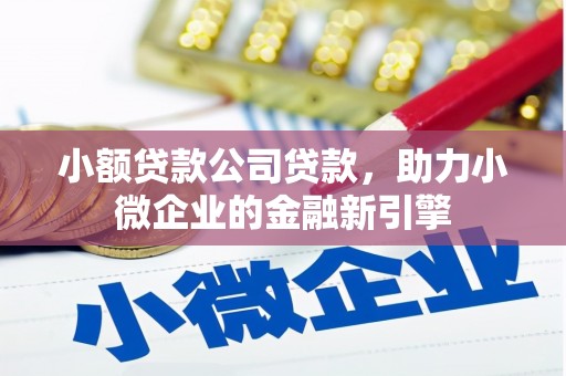 措勤小额贷款公司贷款，助力小微企业的金融新引擎