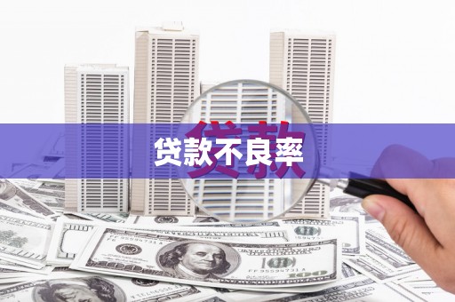 措勤贷款不良率
