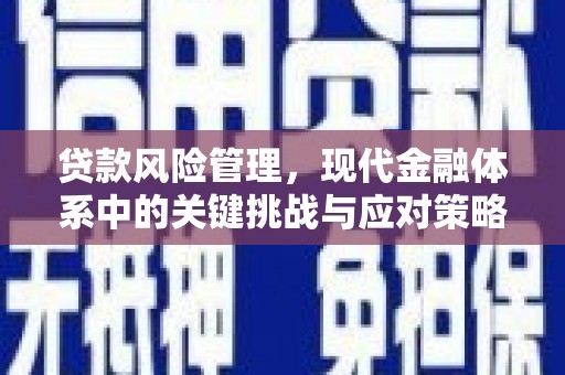 措勤贷款风险管理，现代金融体系中的关键挑战与应对策略