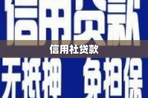 措勤信用社贷款