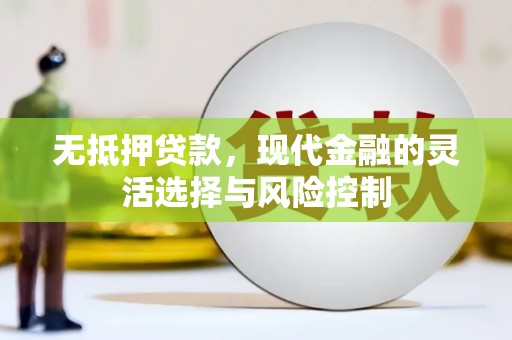 措勤无抵押贷款，现代金融的灵活选择与风险控制