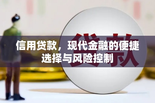 措勤信用贷款，现代金融的便捷选择与风险控制