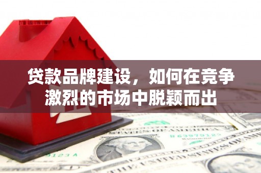 措勤贷款品牌建设，如何在竞争激烈的市场中脱颖而出