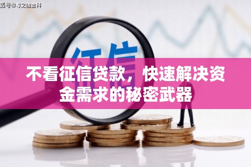 措勤不看征信贷款，快速解决资金需求的秘密武器