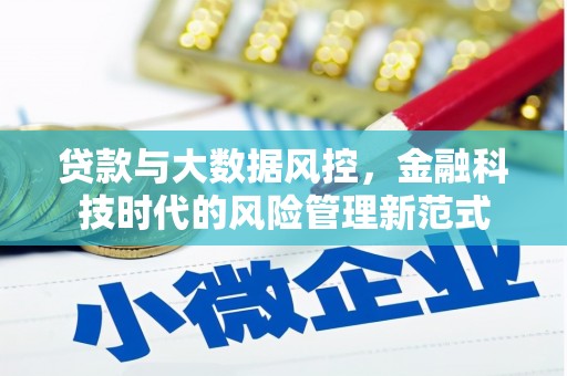 措勤贷款与大数据风控，金融科技时代的风险管理新范式