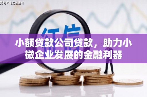 措勤小额贷款公司贷款，助力小微企业发展的金融利器