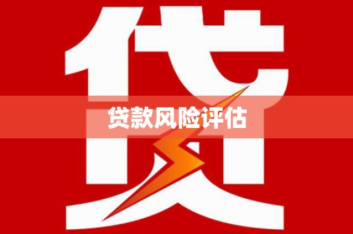 措勤贷款风险评估