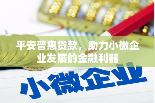 措勤平安普惠贷款，助力小微企业发展的金融利器