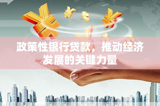 措勤政策性银行贷款，推动经济发展的关键力量
