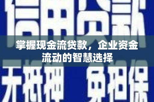 措勤掌握现金流贷款，企业资金流动的智慧选择