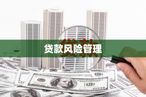 措勤贷款风险管理