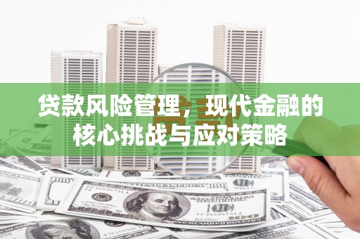 措勤贷款风险管理，现代金融的核心挑战与应对策略