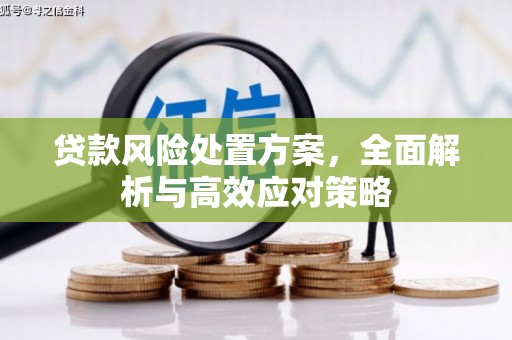 措勤贷款风险处置方案，全面解析与高效应对策略