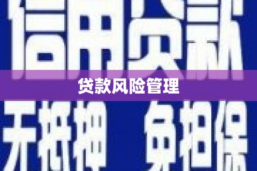 措勤贷款风险管理