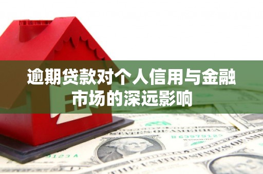 措勤逾期贷款对个人信用与金融市场的深远影响
