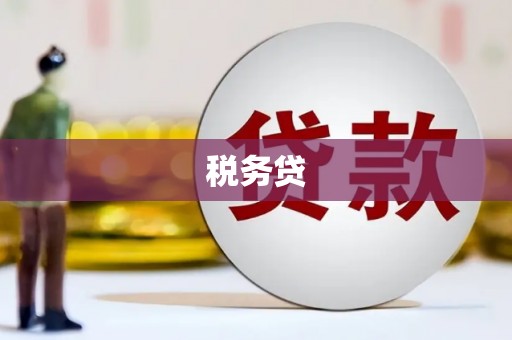 措勤税务贷