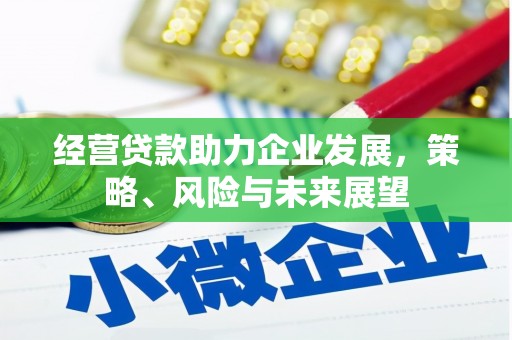 措勤经营贷款助力企业发展，策略、风险与未来展望