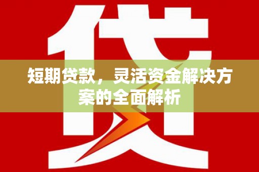 措勤短期贷款，灵活资金解决方案的全面解析