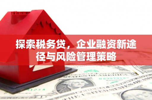 措勤探索税务贷，企业融资新途径与风险管理策略