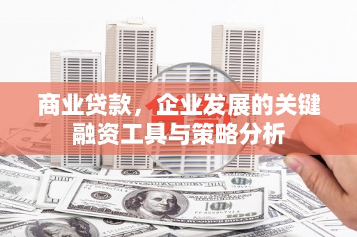 措勤商业贷款，企业发展的关键融资工具与策略分析