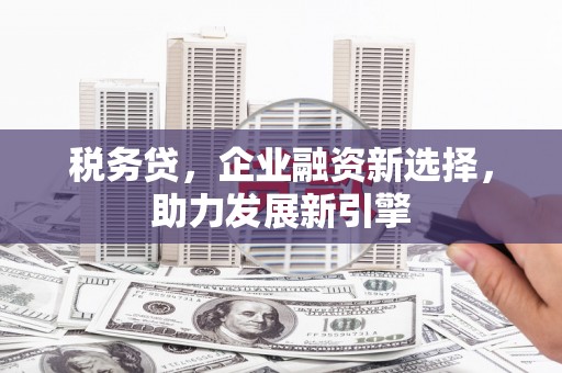 措勤税务贷，企业融资新选择，助力发展新引擎