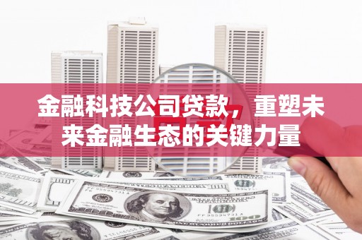 措勤金融科技公司贷款，重塑未来金融生态的关键力量