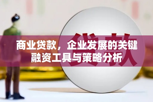措勤商业贷款，企业发展的关键融资工具与策略分析