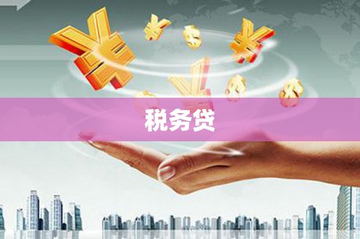 措勤税务贷